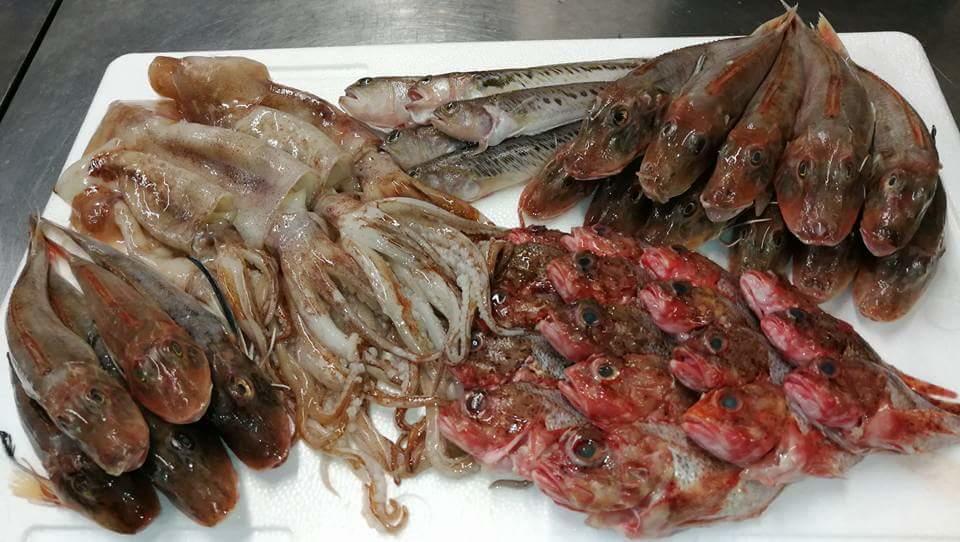 Hotel Ab Baretta Legnaro Eksteriør bilde